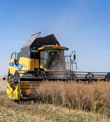 Жнива в Запорізькій області: врожай зібрано на 94 % засіяних ранніми зерновими площ