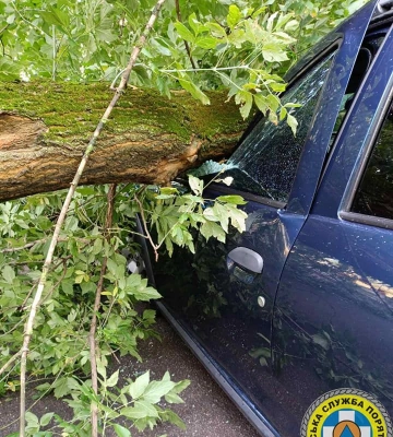 У Києві величезне дерево розтрощило автомобіль (ФОТО)