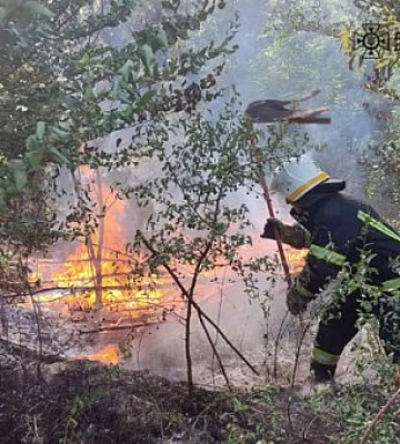 За добу в екосистемах Дніпропетровщини ліквідували 41 пожежу: що горіло