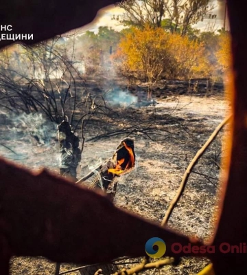 У вівторок в Одесі та області рятувальники 36 разів виїжджали на пожежі в екосистемах