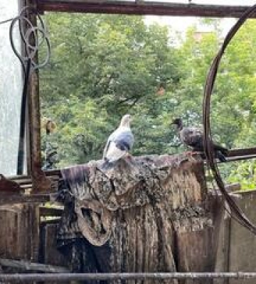 У квартирі полтавської п’ятиповерхівки виявили труп