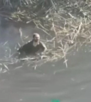 Дрон-камикадзе утопил болтавшегося в воде оккупанта.. ВИДЕО