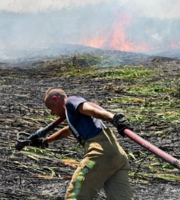 У Болградському районі вогонь знищив 3,5 гектара лісу