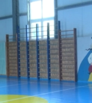 Скандал на Волині: у спеціалізованій школі вчителька фізкультури побила дитину