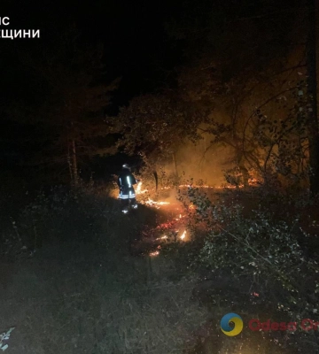 В Одесі 19 вогнеборців гасили пожежу у квартирі
