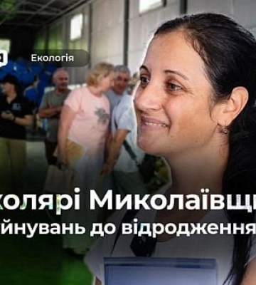 Восстановление пасек в условиях войны: опыт николаевских пчеловодов
