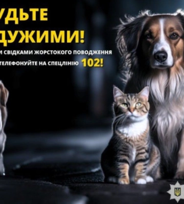 В Одессе неизвестный застрелил бездомных собак: дело расследует полиция