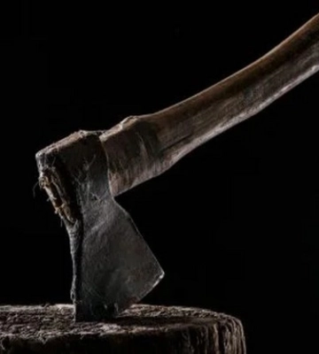На Одещині обрано запобіжний захід нелюду, який сокирою вбив стареньку жінку (ВІДЕО)