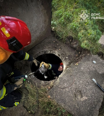 У Львові врятували цуценя, яке впало у каналізаційний колектор