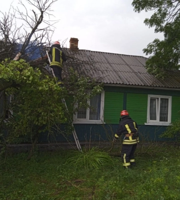 На Волині дерево впало на житловий будинок