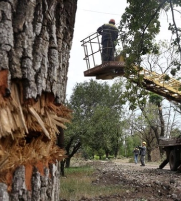 Укренерго заявило про відключення у семи областях