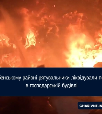В Дубенському районі рятувальники ліквідували пожежу в господарській будівлі