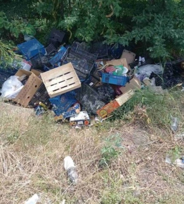 На Одещині недобросовісний торговець перетворив лісосмугу на сміттєзвалище