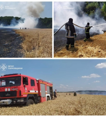 На Харківщині вогнеборці загасили пожежу на пшеничному полі: врятовано 10 га