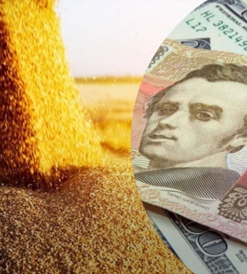 Ухилення від сплати податків на 54 мільйони гривень: на Одещині судитимуть директора сільгосппідприємства