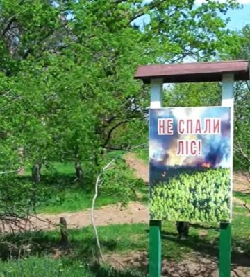 На півдні Одещини збираються відновити ліс, який горів через людську недбалість