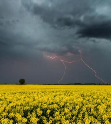 Жителів Рівненщини попереджають про небезпечні метеорологічні явища