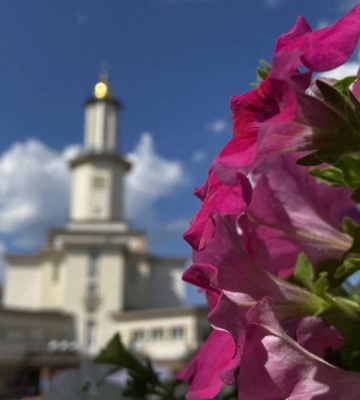 Якою буде погода в Івано-Франківську та області 29 липня
