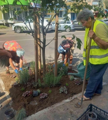 Працівники рівненського Тресту зеленого господарства облаштували квітники