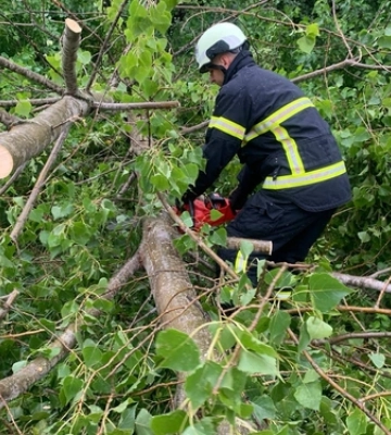 Негода вирує: під Луцьком сильний вітер повалив дерево на дорогу 