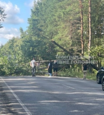 Дерево перекрило трасу на Рівненщині, але люди самі дали ради