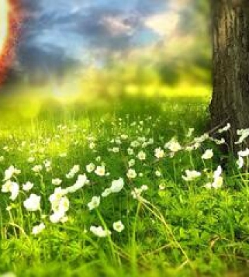 На Полтавщині короткочасно дощитиме