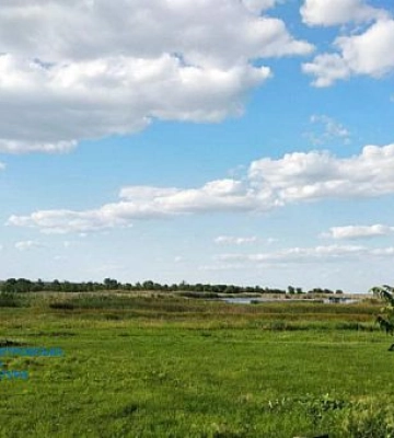 Вилов риби замість пасовищ: на Дніпропетровщині тергромаді повернули землі площею 20 гектарів