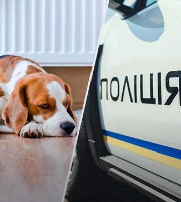 У Хмельницькому з вікна 9-го поверху викинули собаку: поліція відкрила кримінальну справу