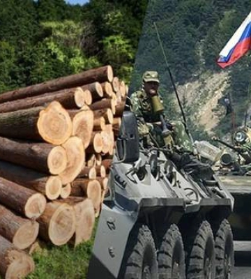 Россияне массово вырубают леса на ВОТ, - Центр нацсопротивления