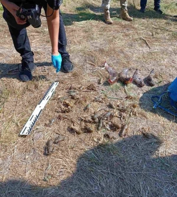 На річці в Одеській області затримали браконьєра
