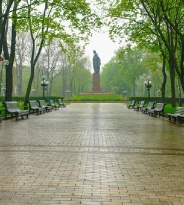 У парку Шевченка в Києві впало дерево: чотирьох людей госпіталізовано
