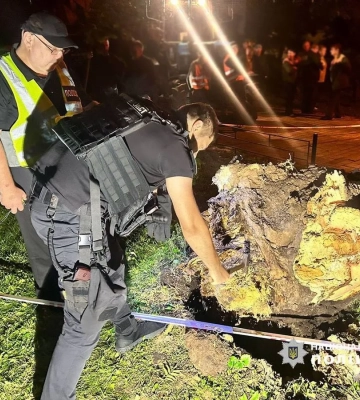 У Києві у парку Шевченка упало дерево: є постраждалі