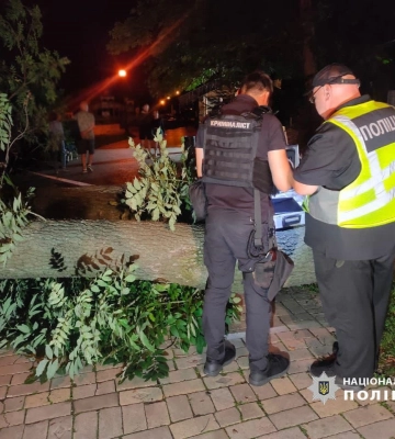 У Києві у парку Шевченка упало дерево: є постраждалі