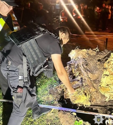 В парке Киева упало дерево: есть жертва и пострадавшие