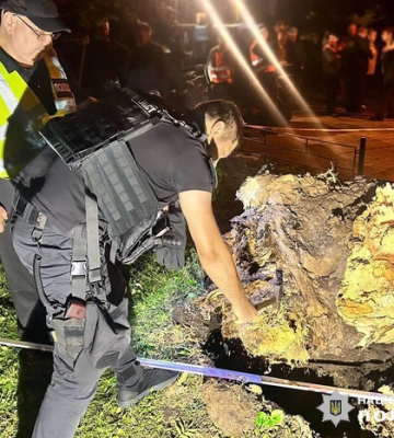 Поліція: одна з потерпілих через падіння дерева в Києві померла в лікарні