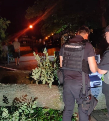 Поліція: одна з потерпілих через падіння дерева в Києві померла в лікарні