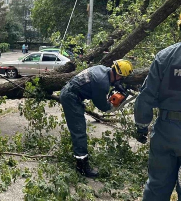 У Києві у парку Шевченка упало дерево: є постраждалі