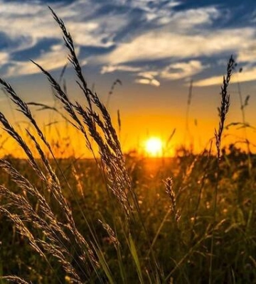 Без опадів, та до +30°С вдень: погода в Одесі на 1 серпня
