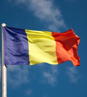 У Румунії знайшли нові уламки російських дронів після атаки на Одеську область