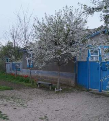Великий будинок біля моря продають лише за 7 тисяч доларів: розташування та фото