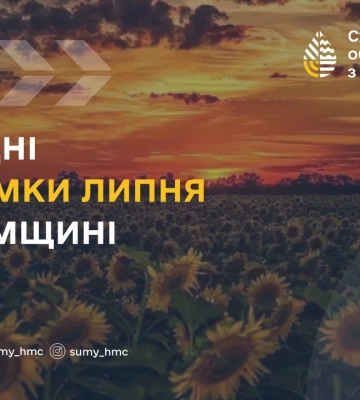 На Сумщині підбили погодні підсумки липня