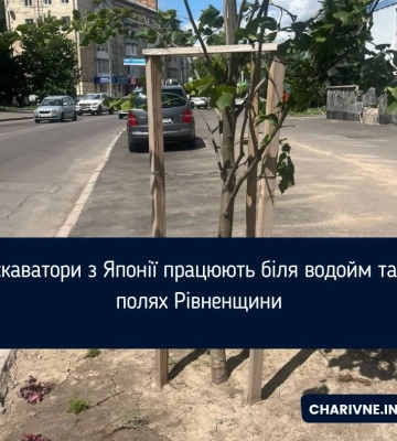 У Рівному в серпні проведуть 4 екскурсії старовинними вулицями