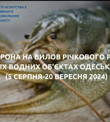 У водоймах Одеської області ввели заборону на вилов річкового рака