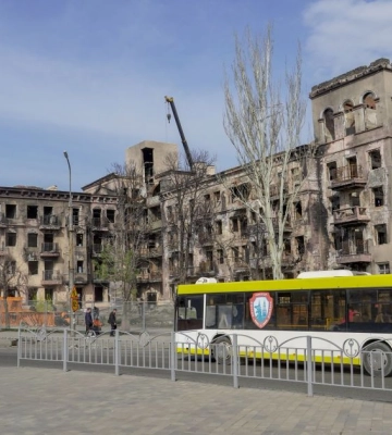Город приходит в упадок. Оккупированный Мариуполь заполонили бездомные животные