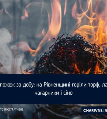 Сім пожеж за добу: на Рівненщині горіли торф, лазня, чагарники і сіно