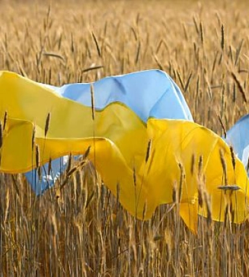 На Дніпропетровщині найбільша кількість померлих за пів року