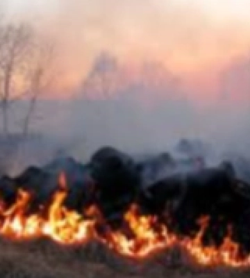 На Рівненщині зафіксували понад дві сотні пожеж у екосистемах