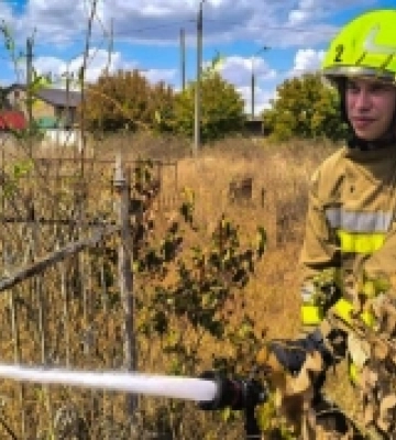 У Миколаєві сталася пожежа на цвинтарі