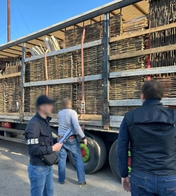 На Львівщині зупинили контрабанду хмизу ліщини і декоративних виробів з деревини