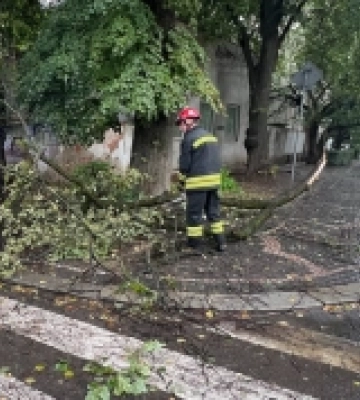В Ужгороді рятувальники ліквідовували наслідки сильного вітру